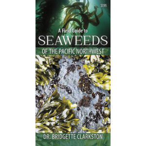 Seaweeds of the Pacific Northwest Field Guide Spearfishing Canada